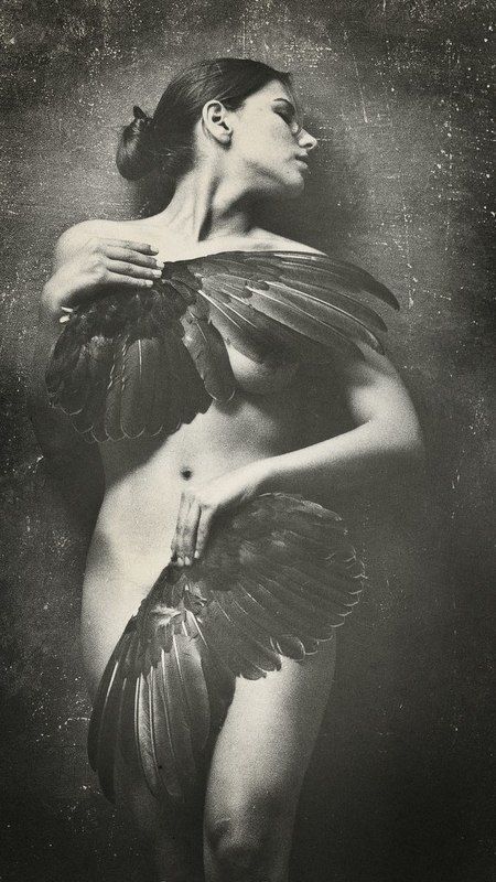 no name фото превью