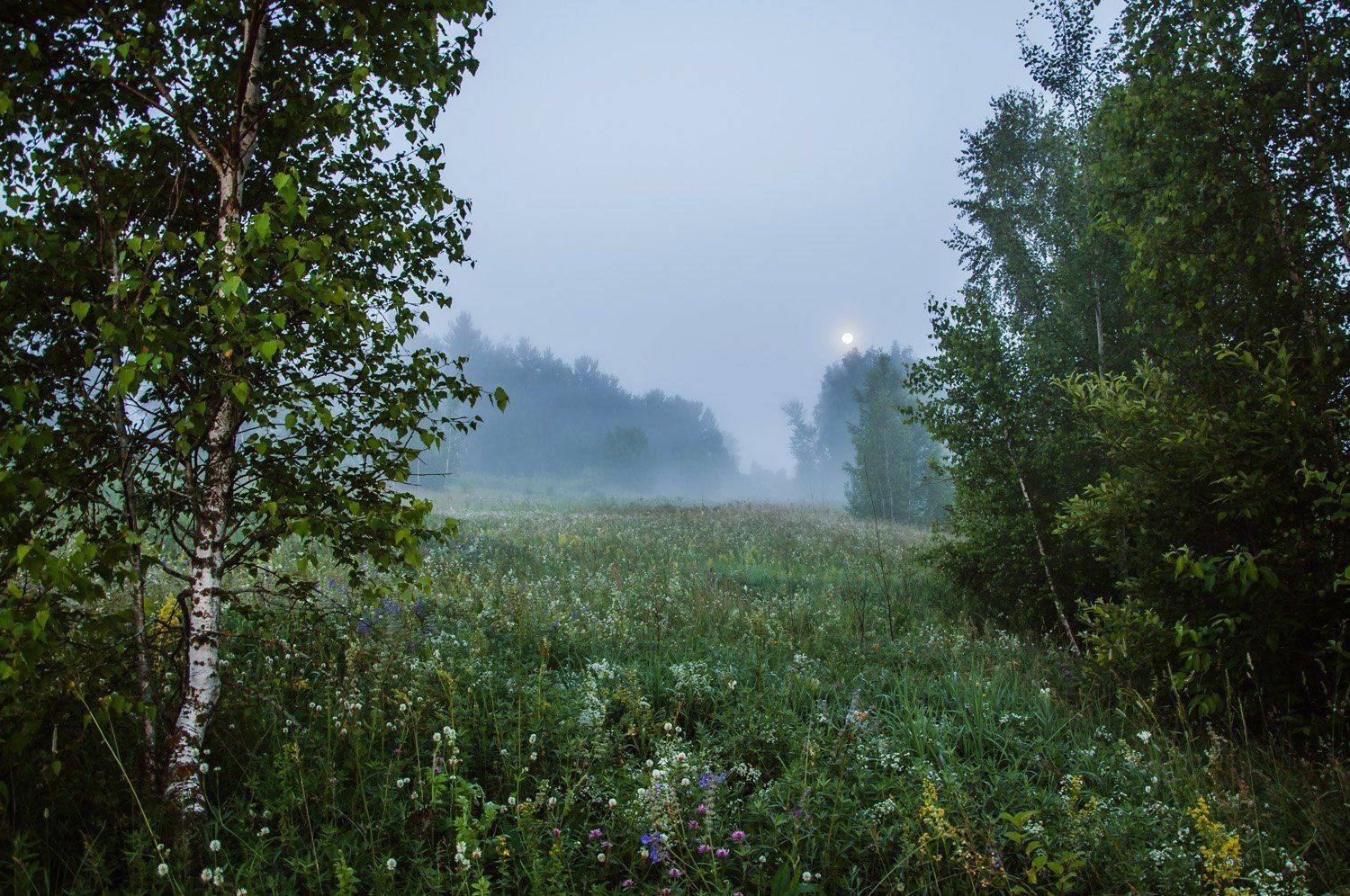 , Анатолий Зверев