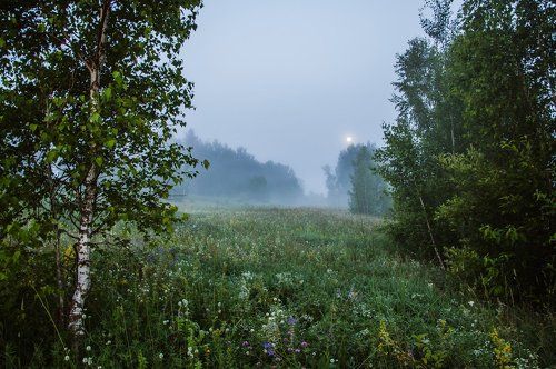 Наедине с Луной