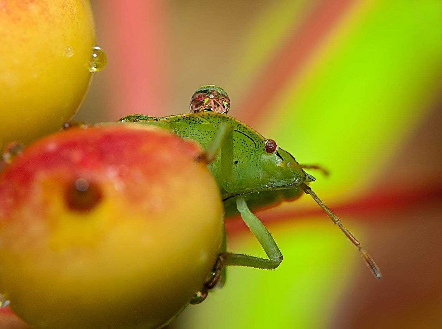 , Александр Демин