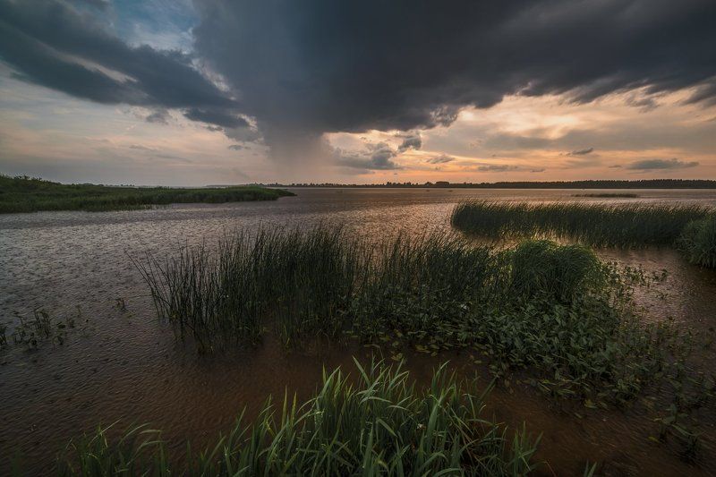 Летний дождь над Волгой фото превью