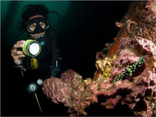 Широкий угол