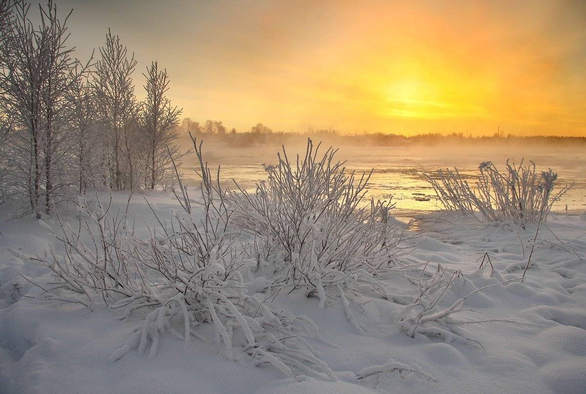 , Александр Коротков