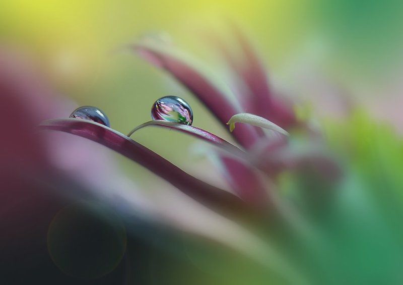 ***0*** фото превью