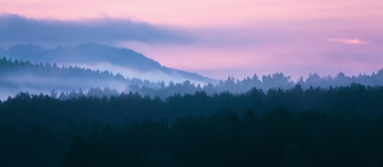 , Александр Сысуев