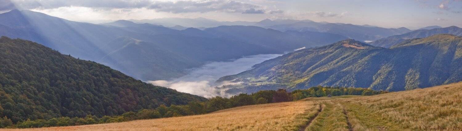 , Любомир Тригубишин