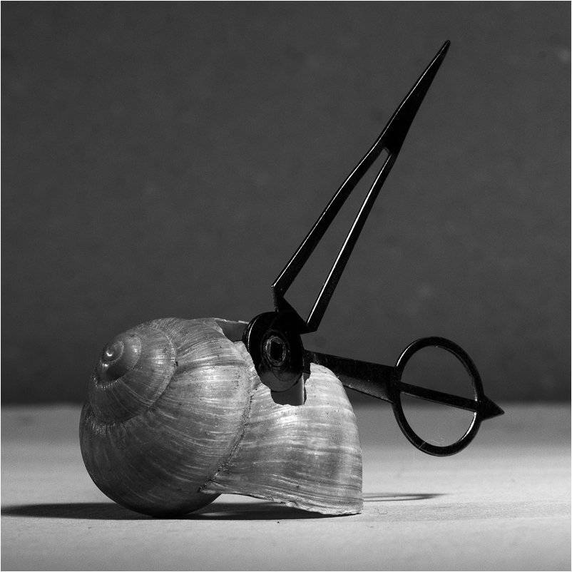 , Лев Сердюков