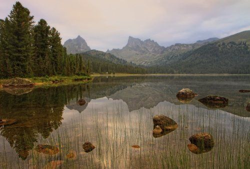 Утро на озере