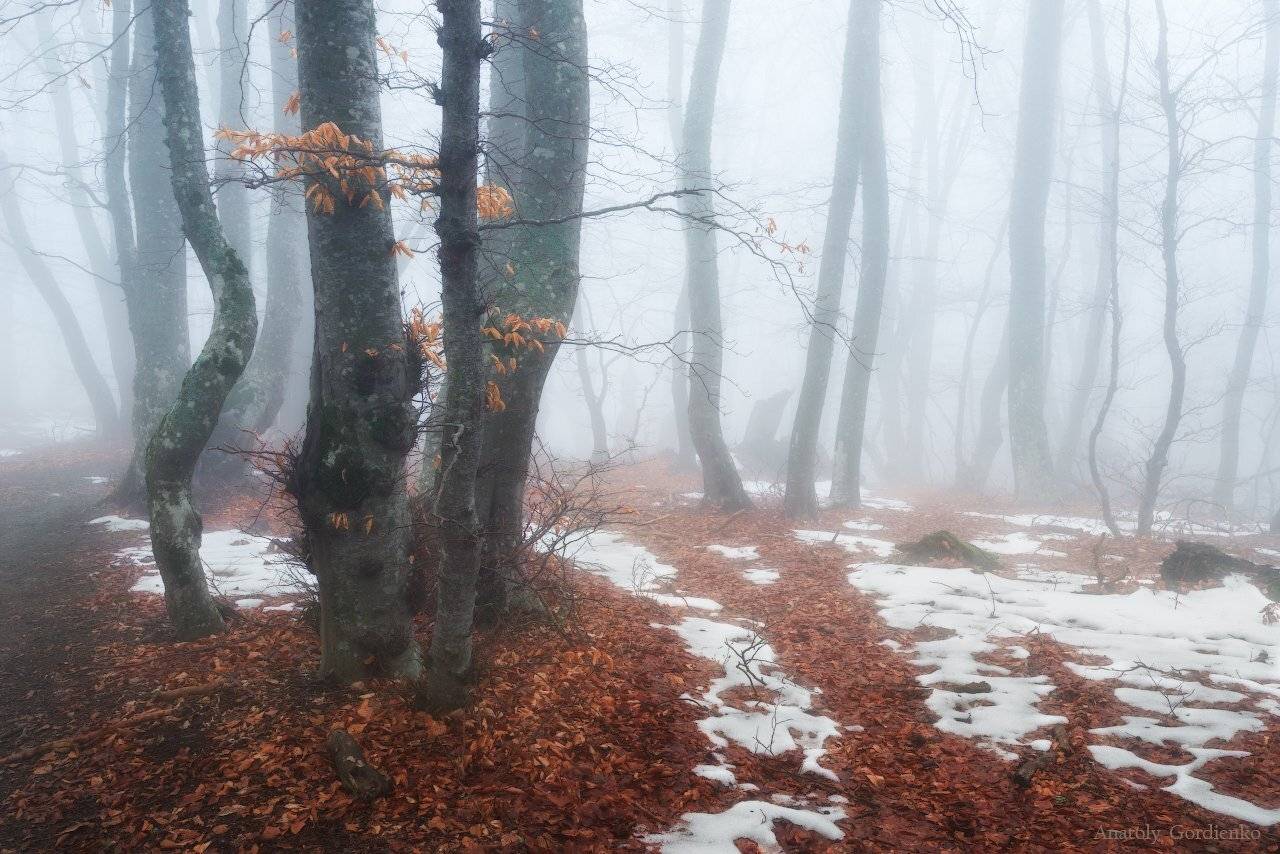 , Анатолий Гордиенко