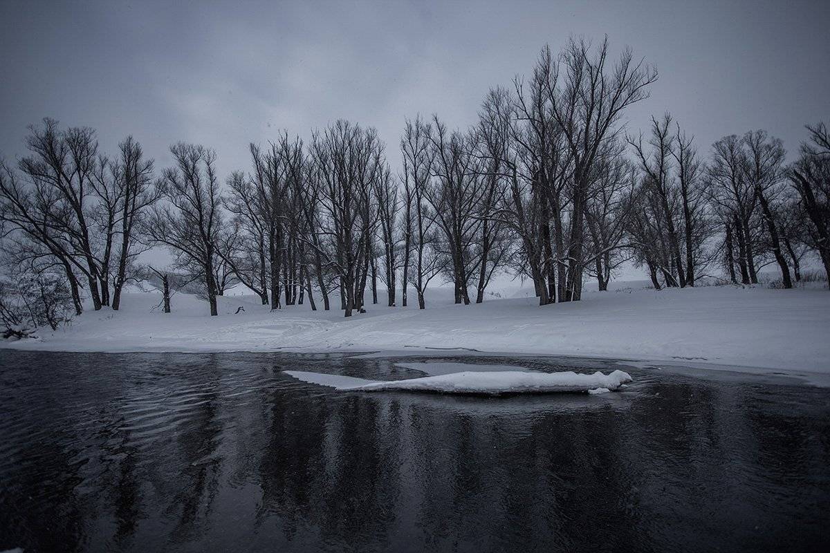 , Максим Филипов