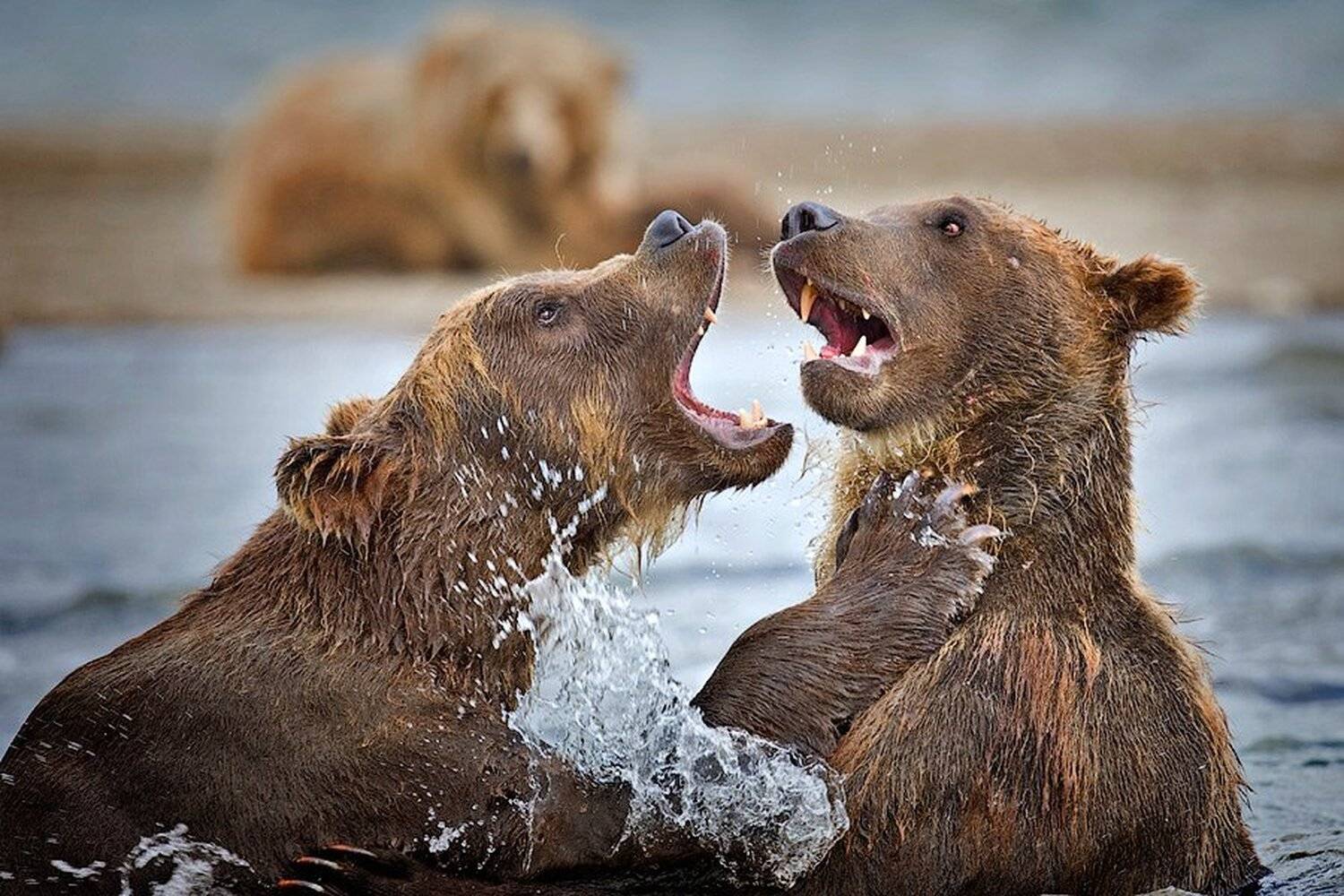 , Сергей Иванов