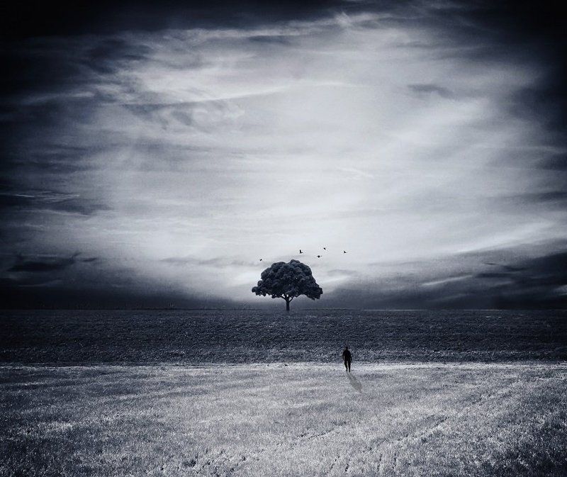 Две стороны... фото превью