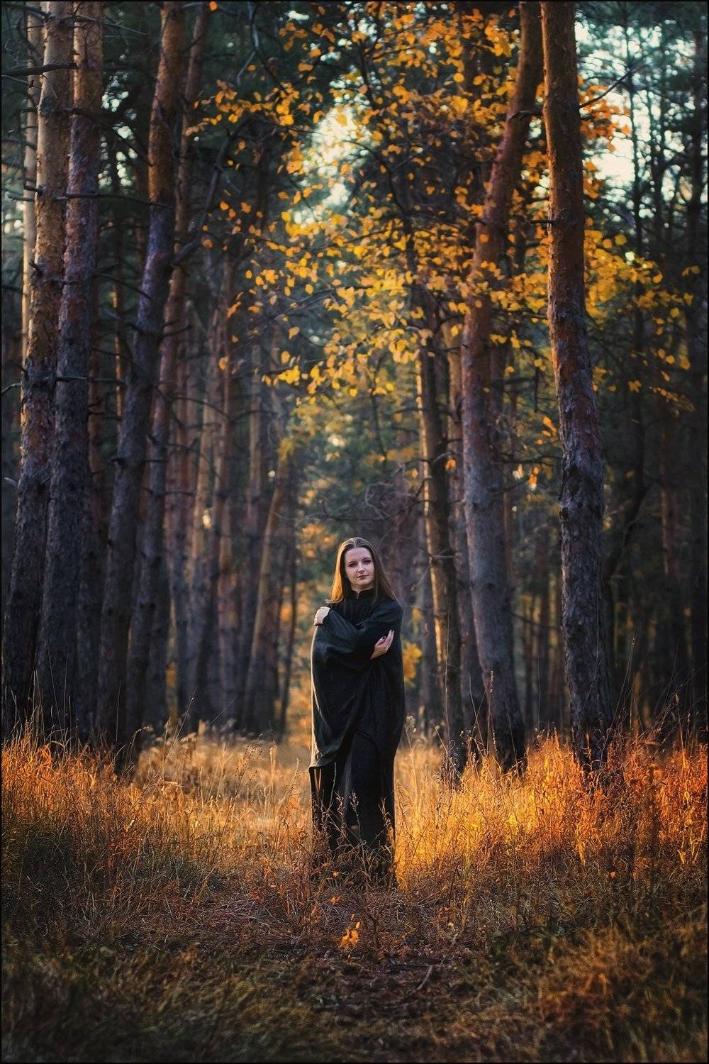 , Алексей Гуляев