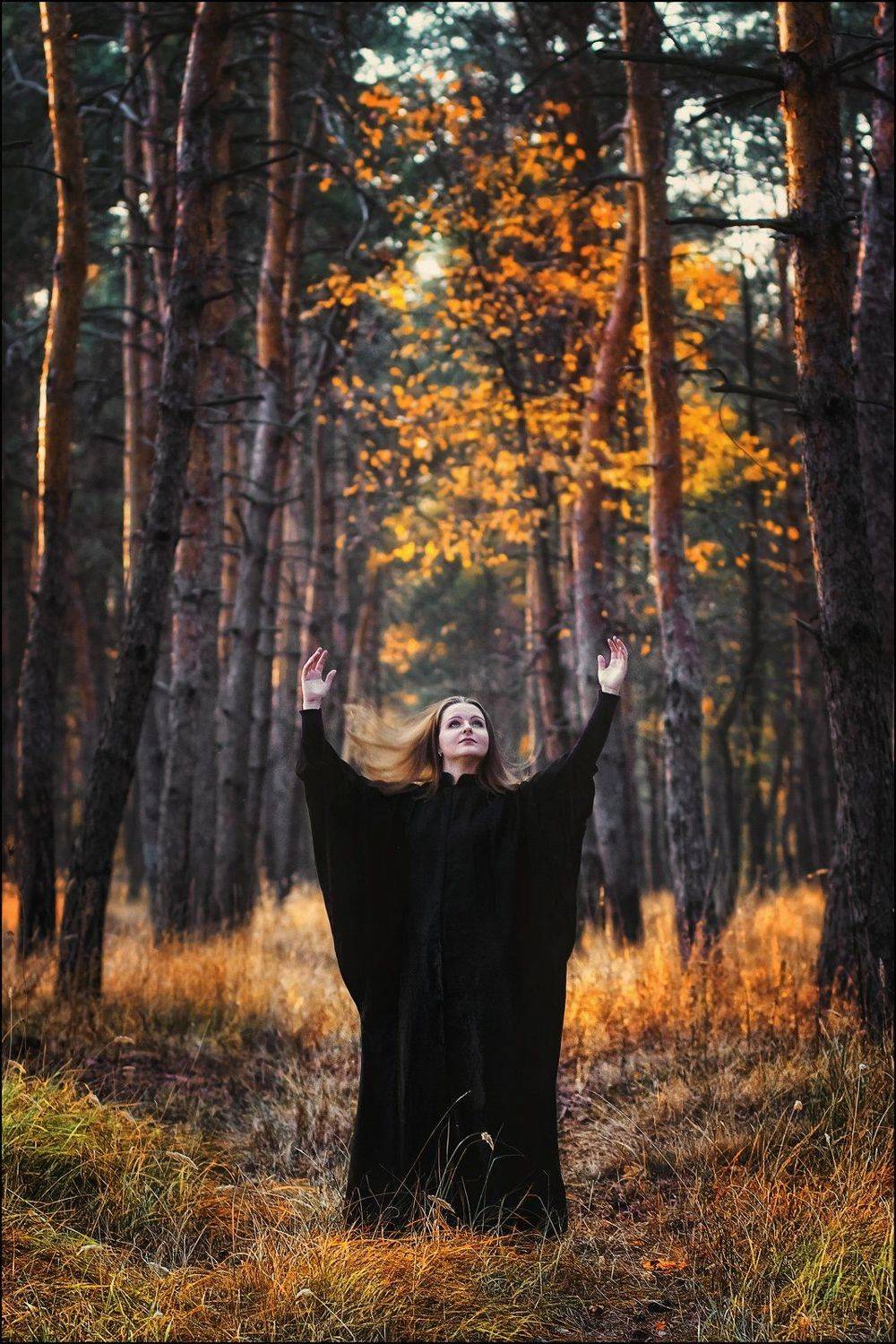 , Алексей Гуляев