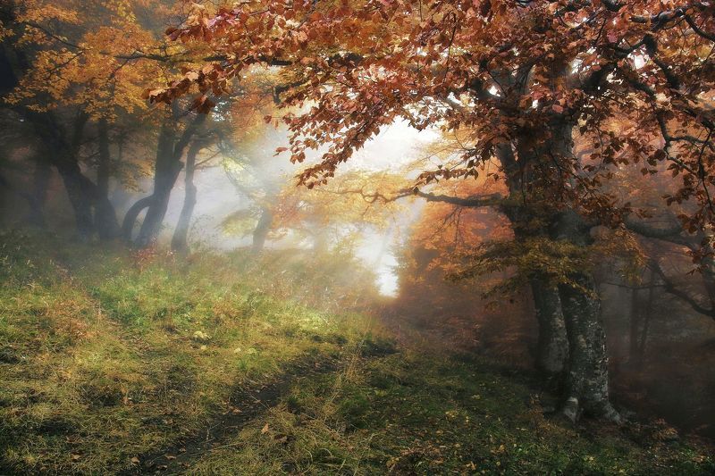 Там, на неведомых дорожках... фото превью