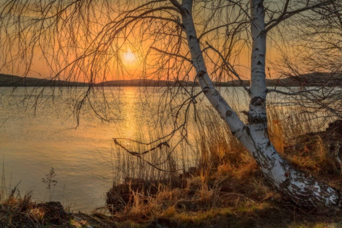 , Leonid Dyachenko
