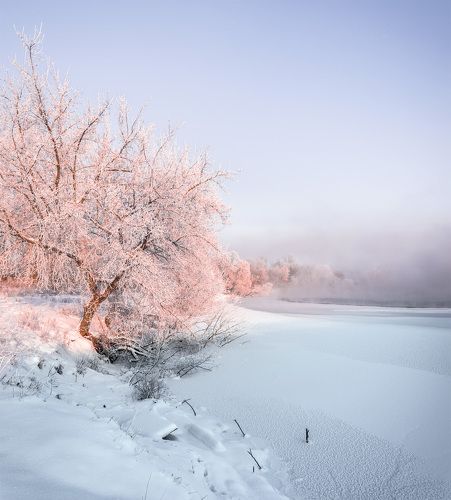 Зимнее утро