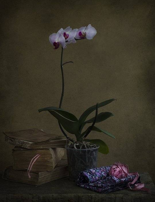 , Петрова Татьяна