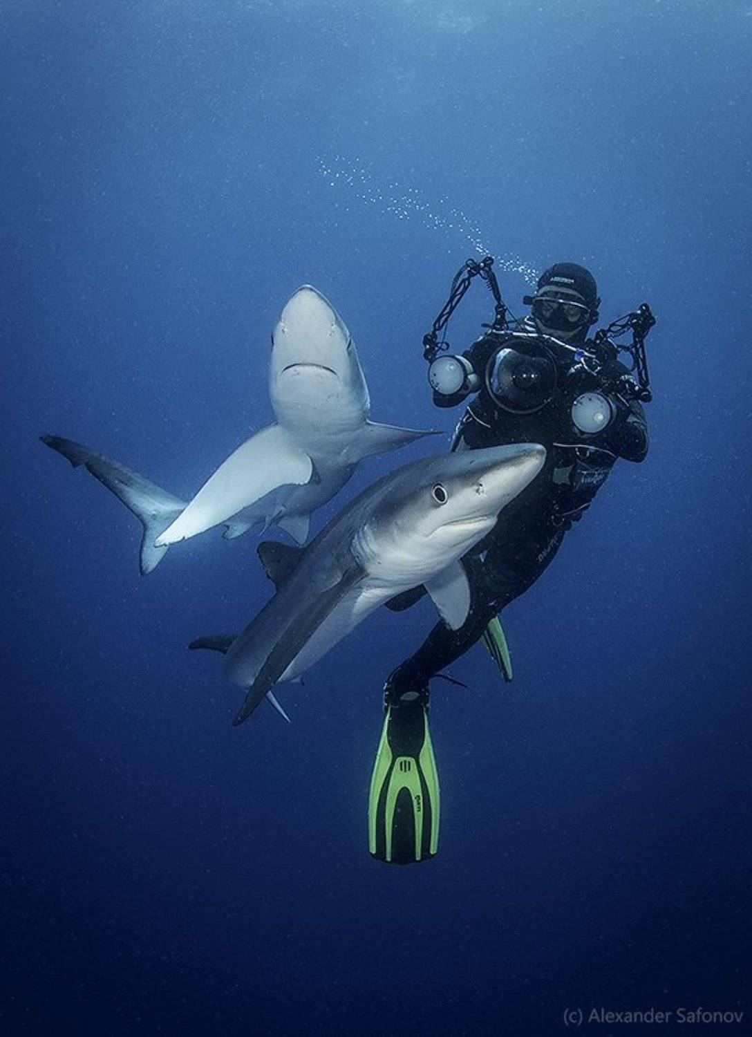 , Александр Сафонов