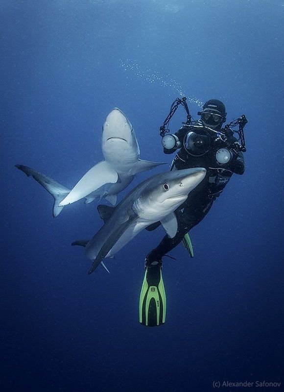 Фотосессия фото превью