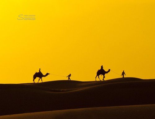 Desert Train