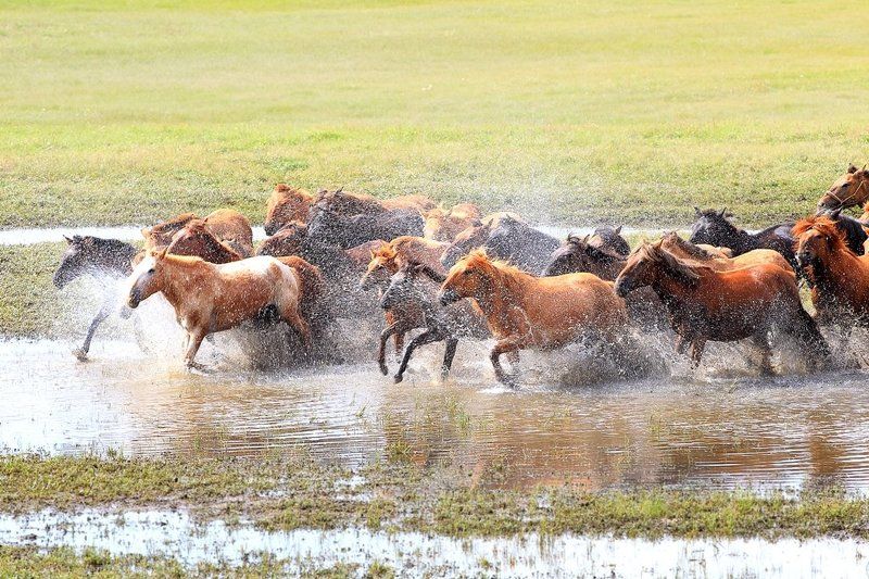 Spin фото превью