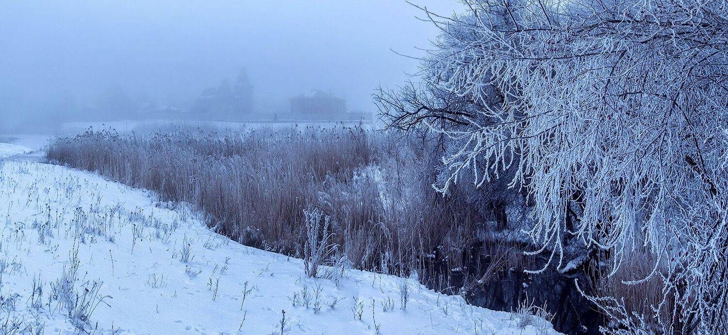 , Игорь Мелекесцев