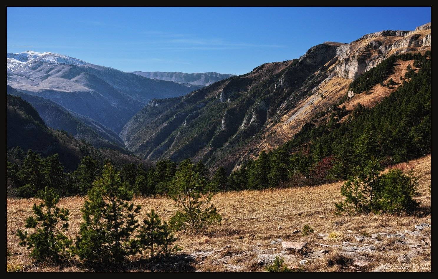 лагонаки, Александр Круль