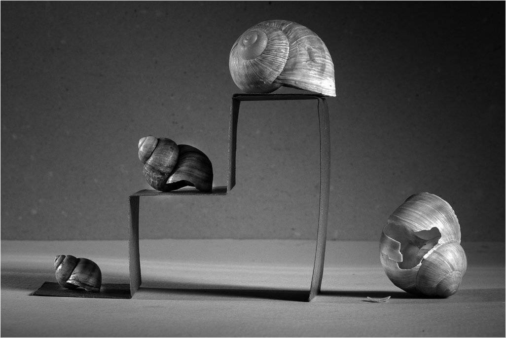 , Лев Сердюков