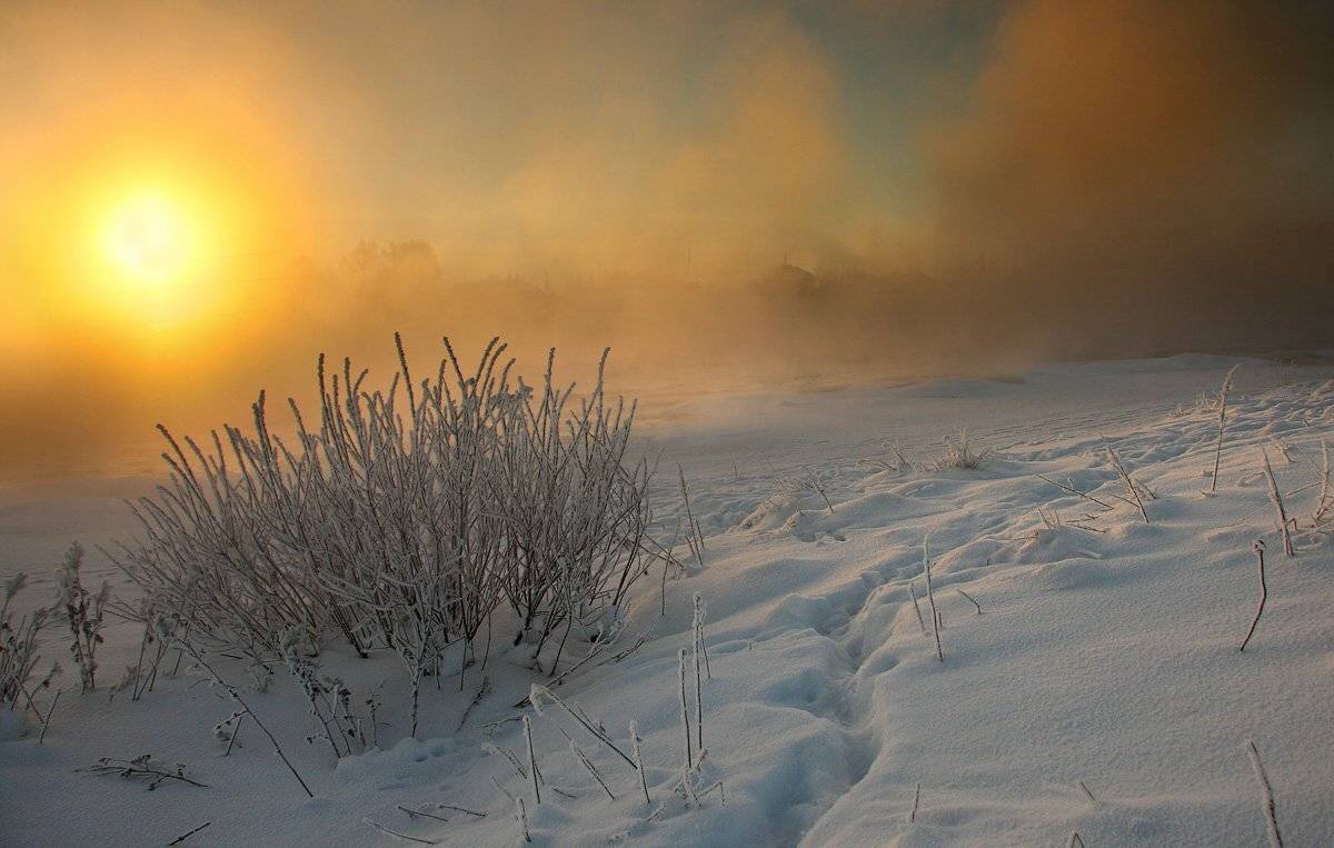 , Александр Коротков