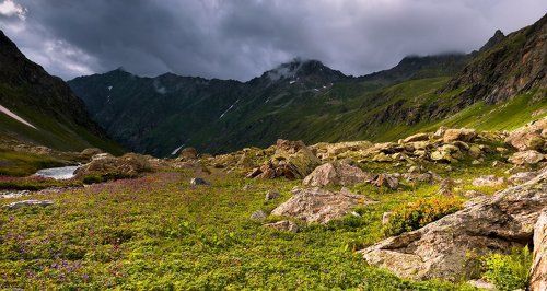 Тень. Свет. И сад камней