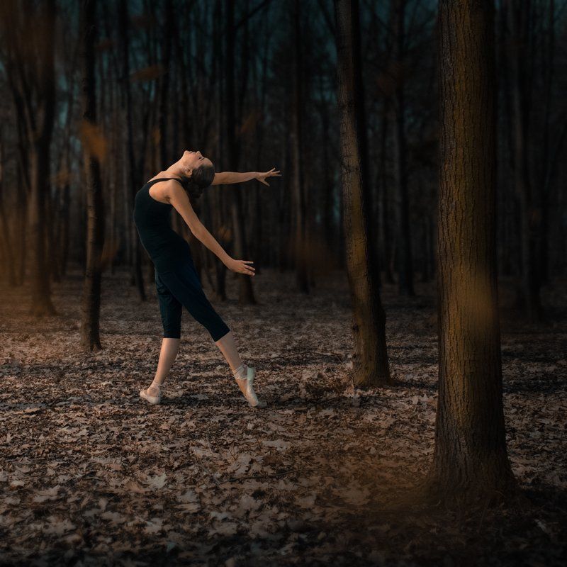 ENTRÉE IV. фото превью