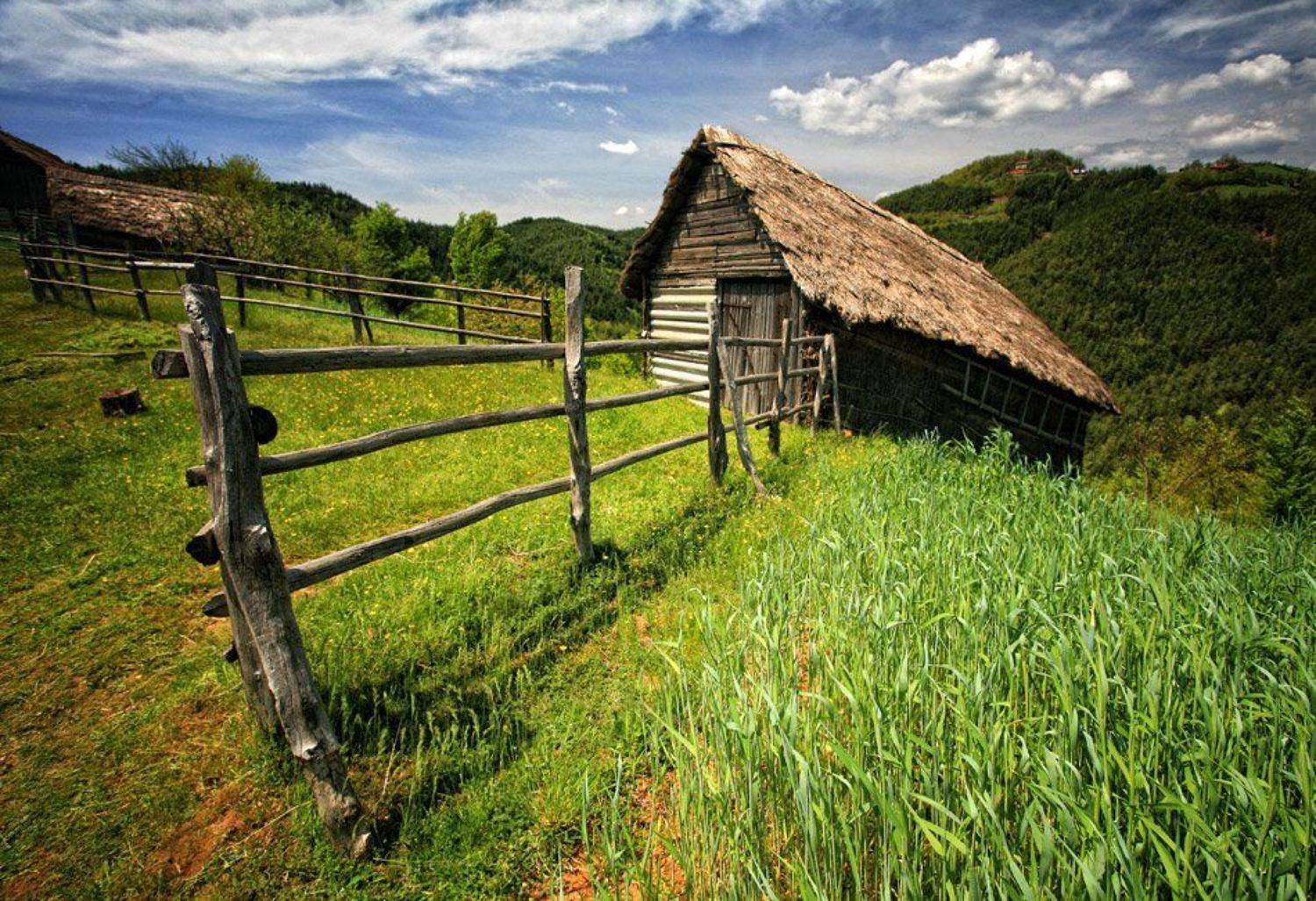 , Тодор Трамбабов