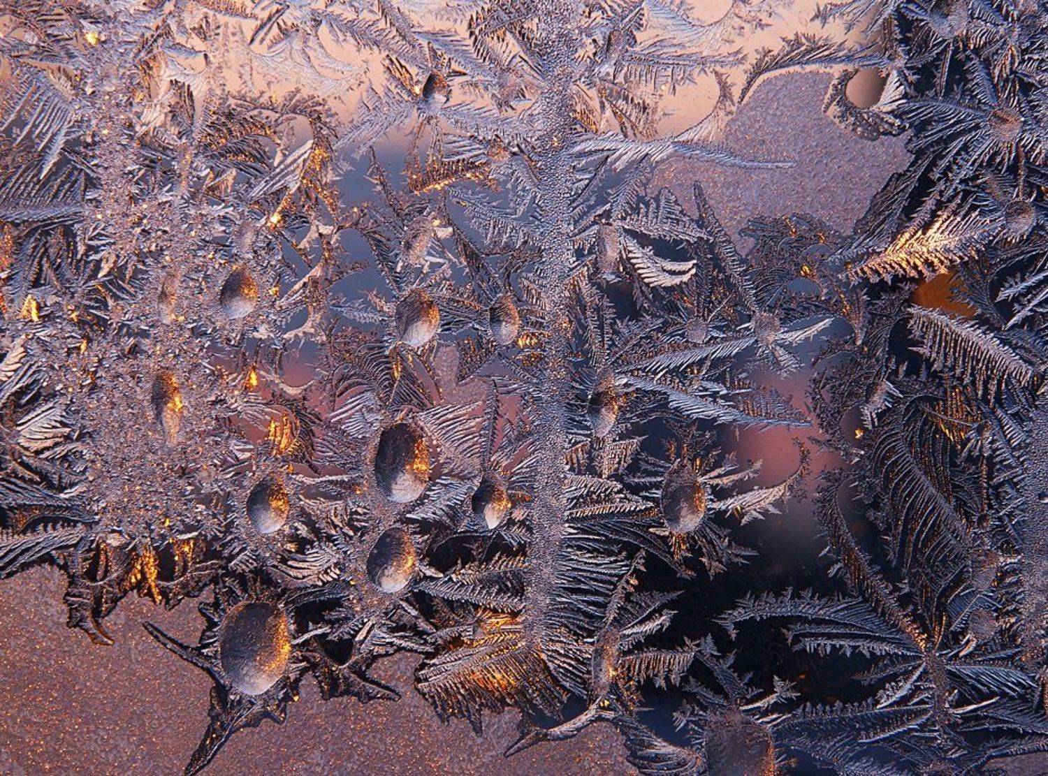 , Александр Демин