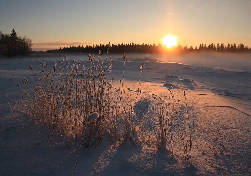 *** фото превью