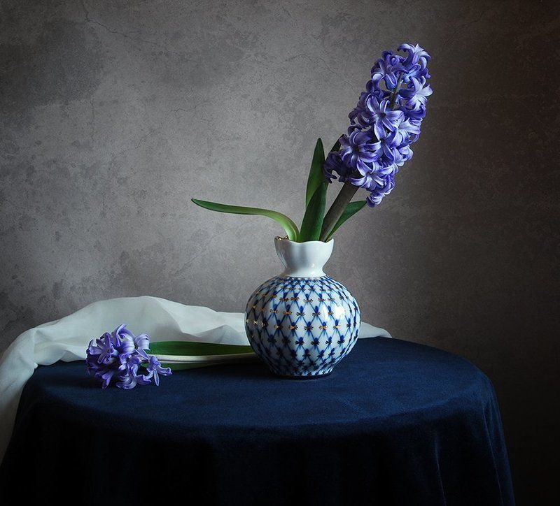 гиацинты Февраль фото превью