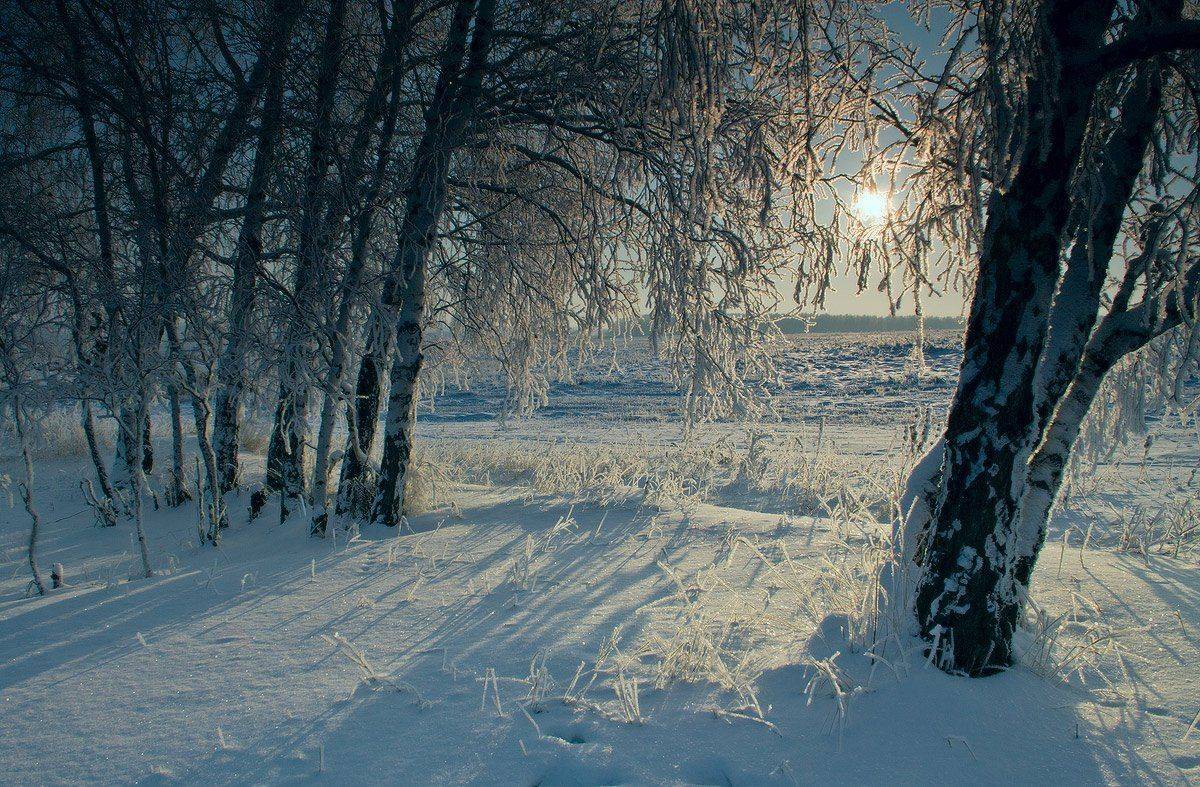 , Николай Морский