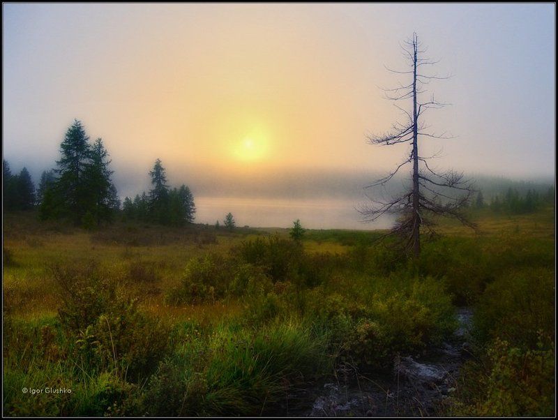 Заповедник туманов фото превью