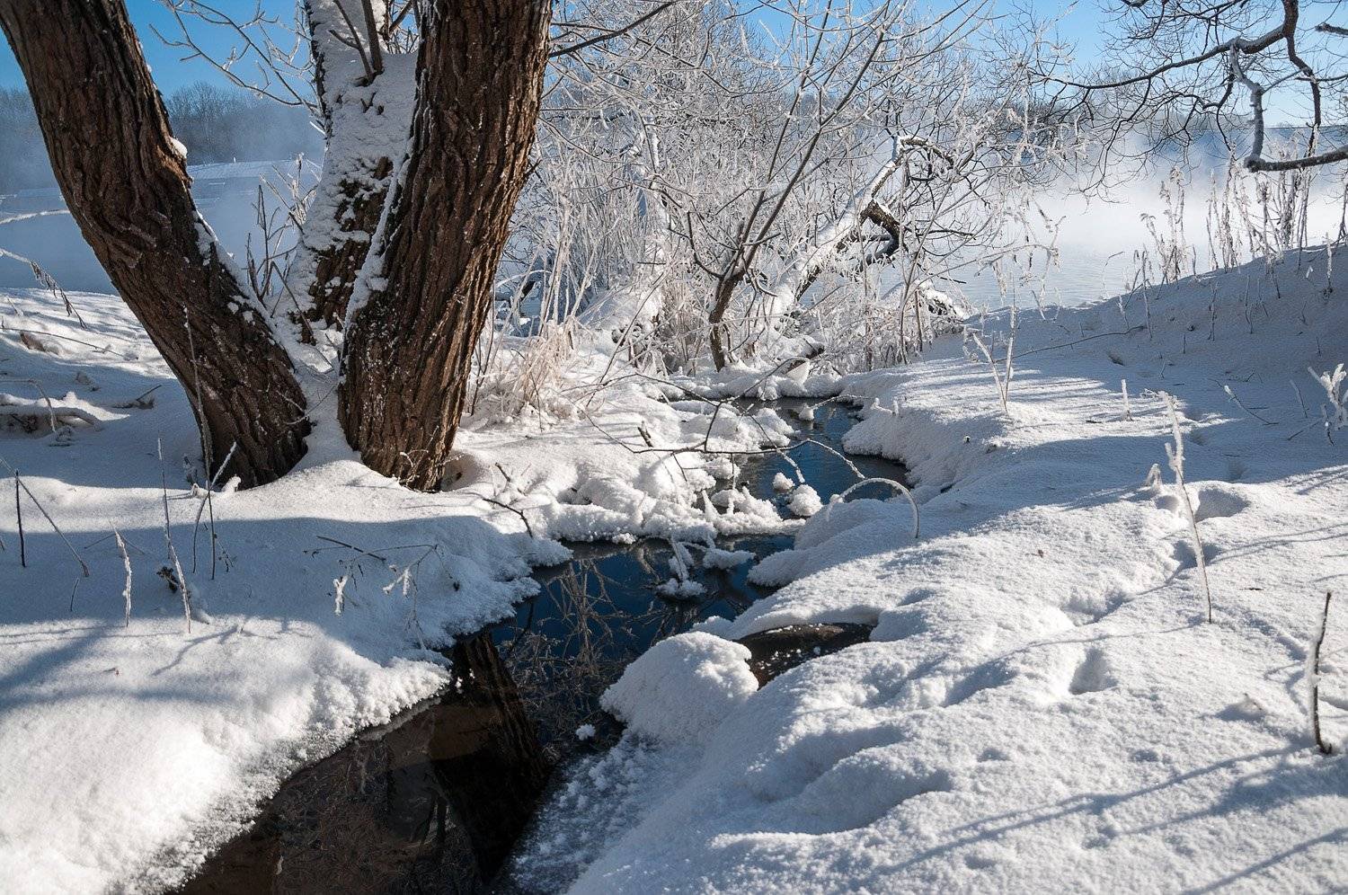 , Анатолий Зверев