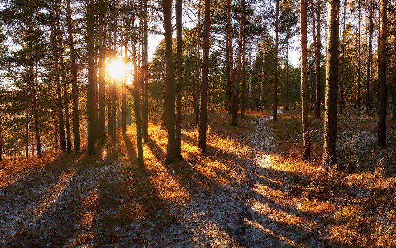 Вот так начиналась наша зима. фото превью