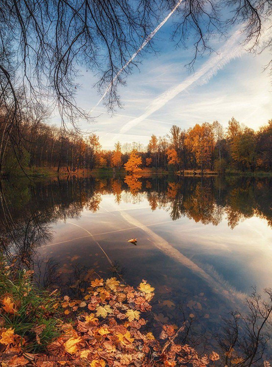 , Минаев Павел