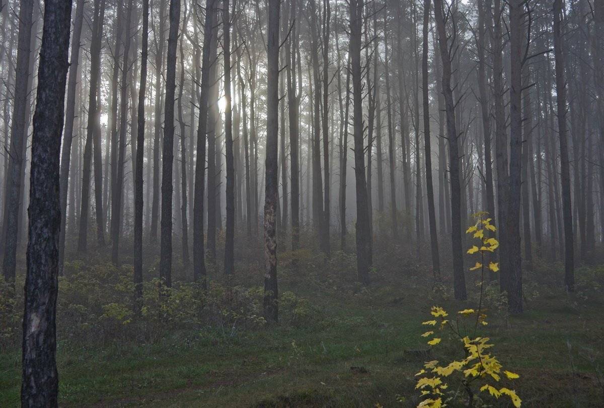 , Валерий Кондратов