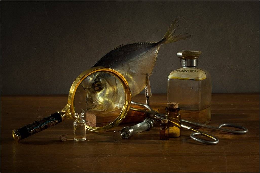 , Лев Сердюков