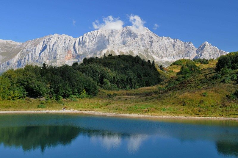 СЕДОВЛАСЫЙ фото превью