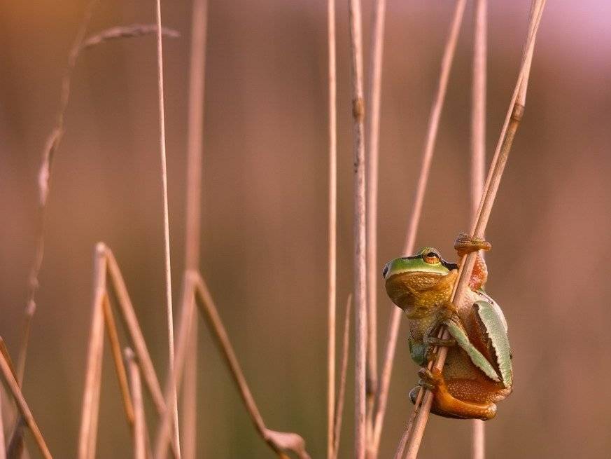 , Вячеслав Мищенко