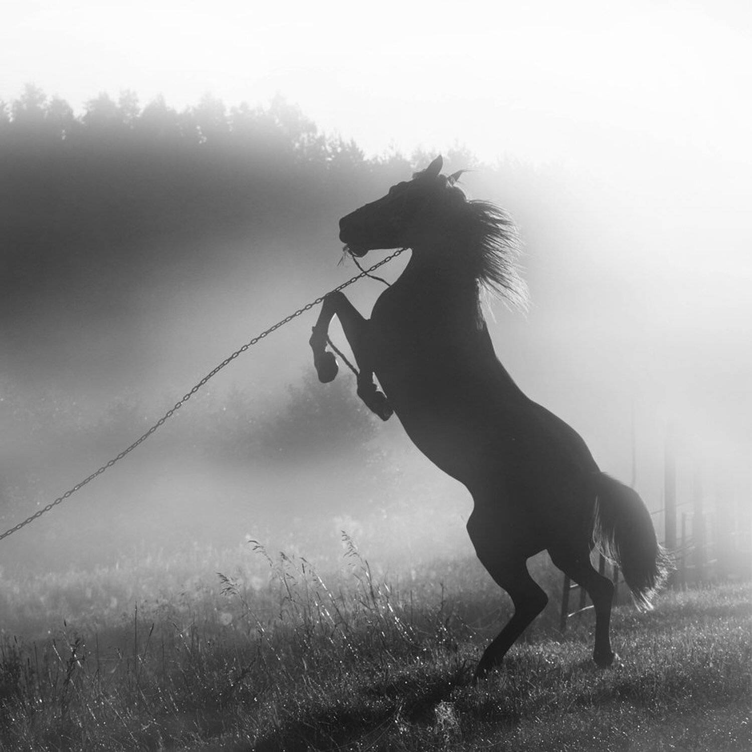 , Михалюк Сергей