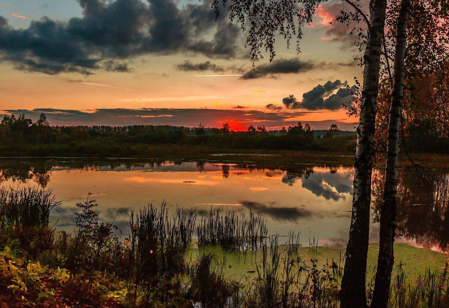 , Анатолий Зверев