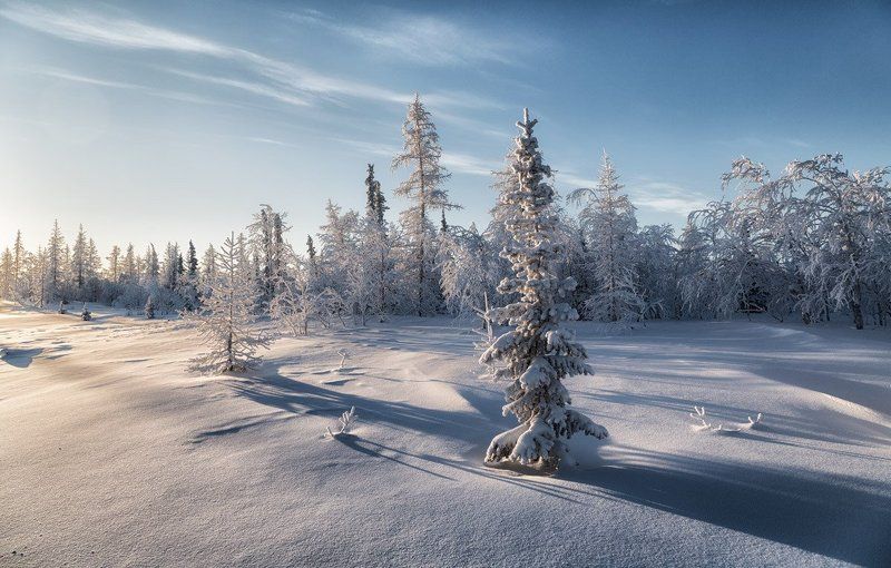 * * * фото превью