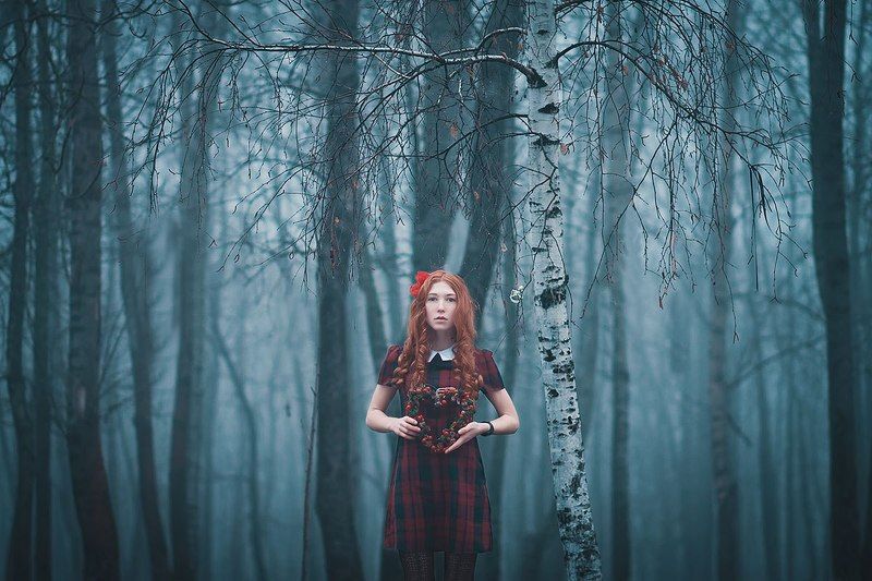 туман, рождество, портрет, лес, сказка The Christmas Mistery фото превью