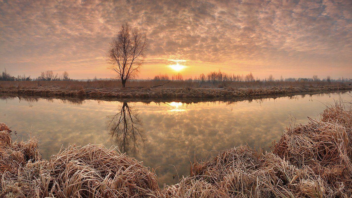 , Антон Петрусь